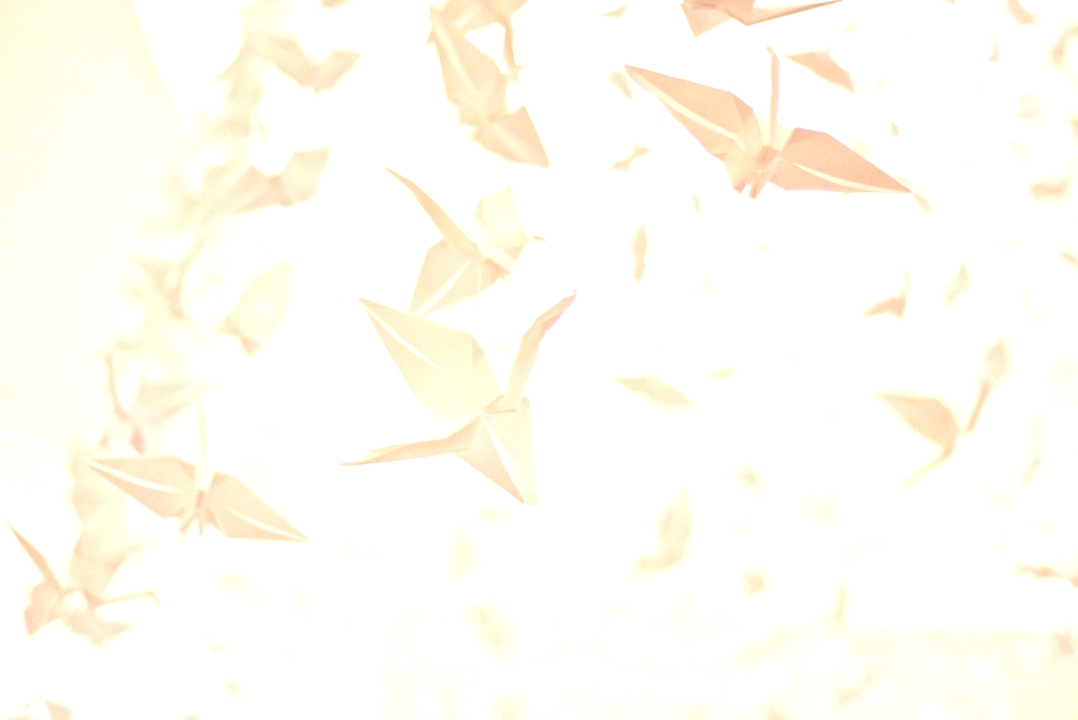 Paper Cranes
