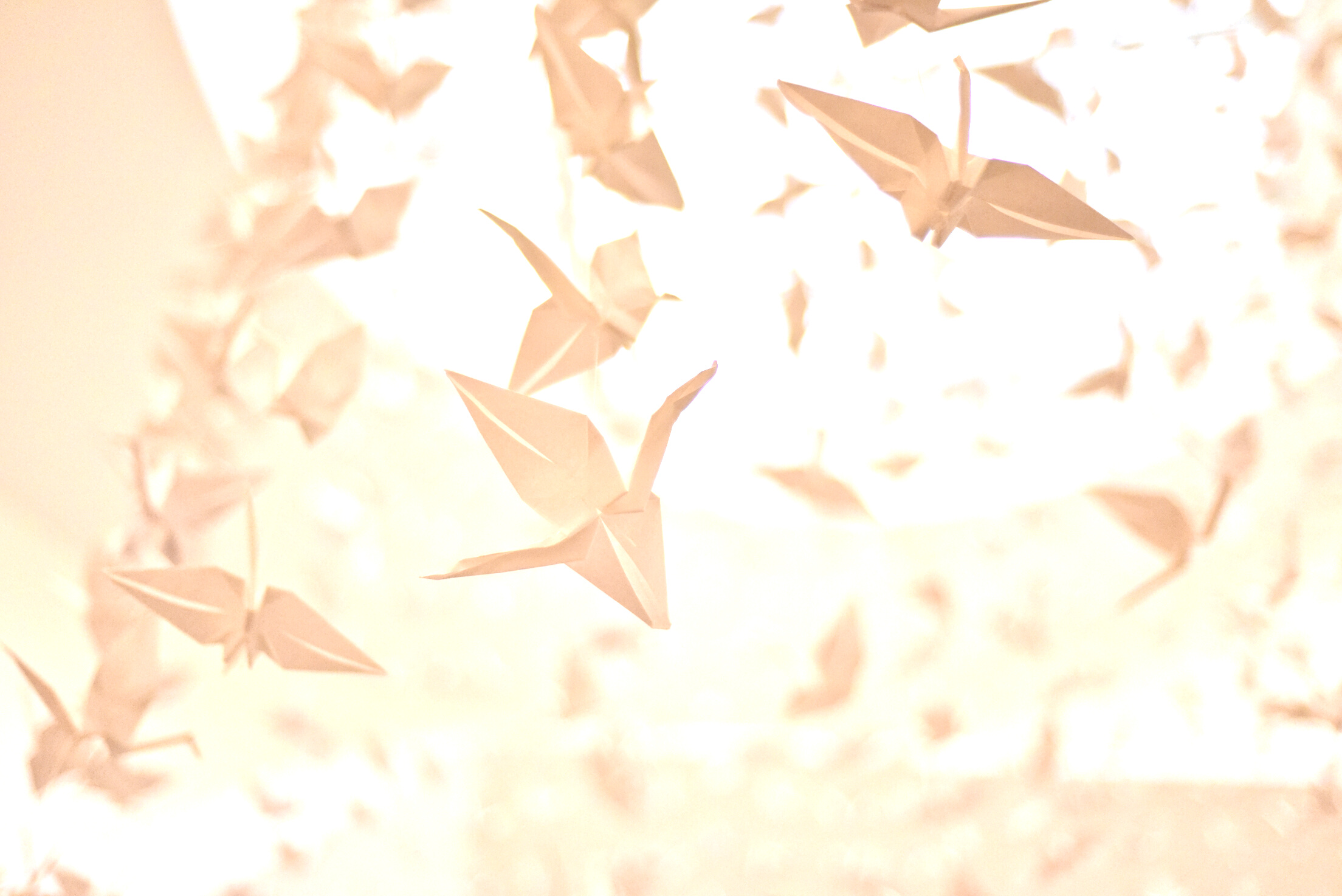 Paper Cranes
